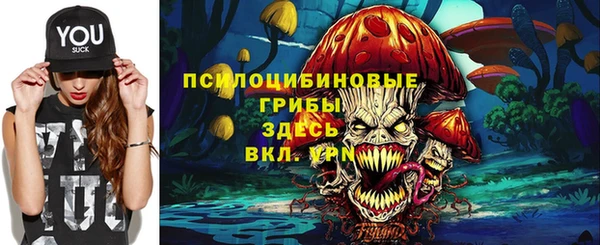 кристаллы Кодинск