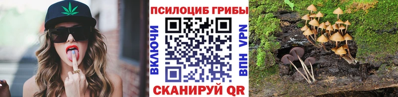 Псилоцибиновые грибы мицелий  Купить где  Зерноград 